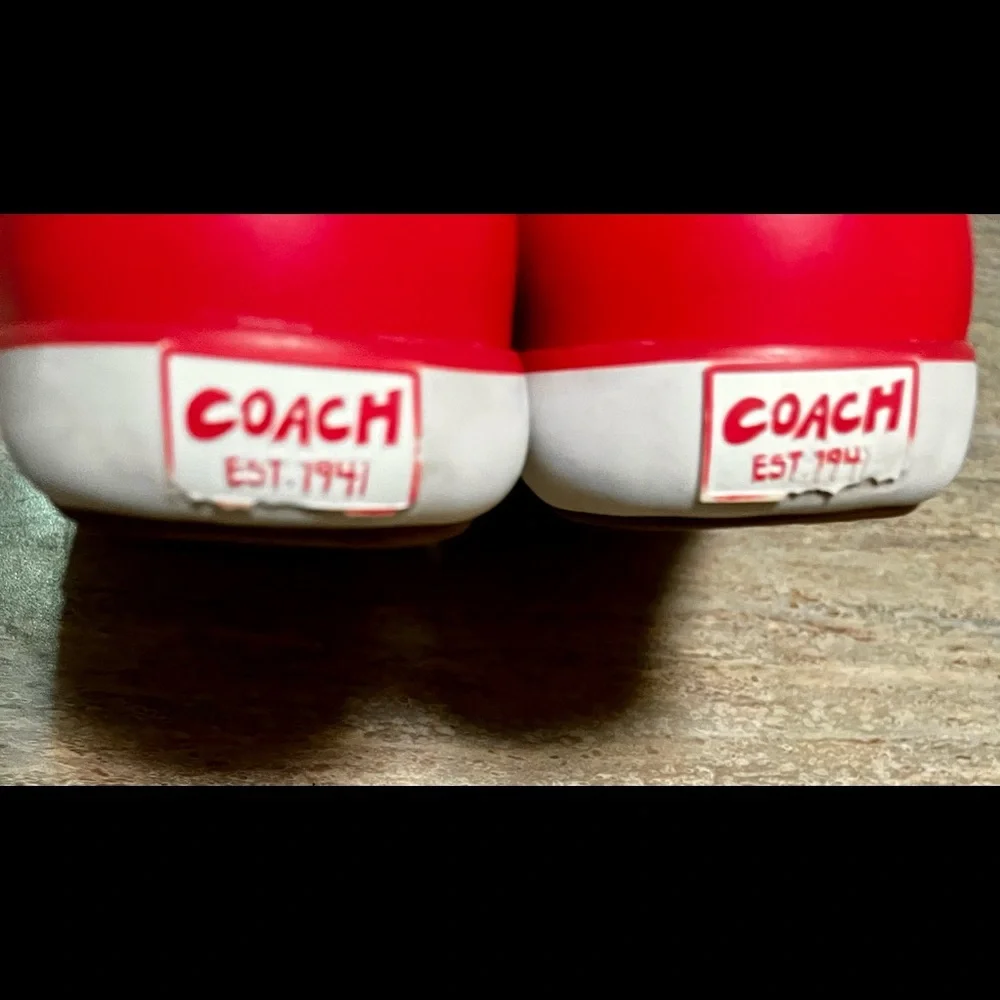 Coach Barrett floral sneakers - Picture 16 of 16